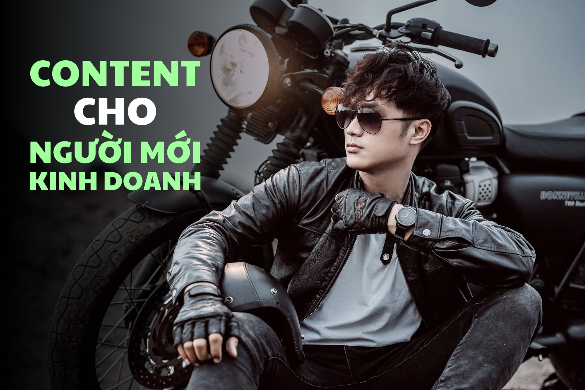 content cho người mới kinh doanh